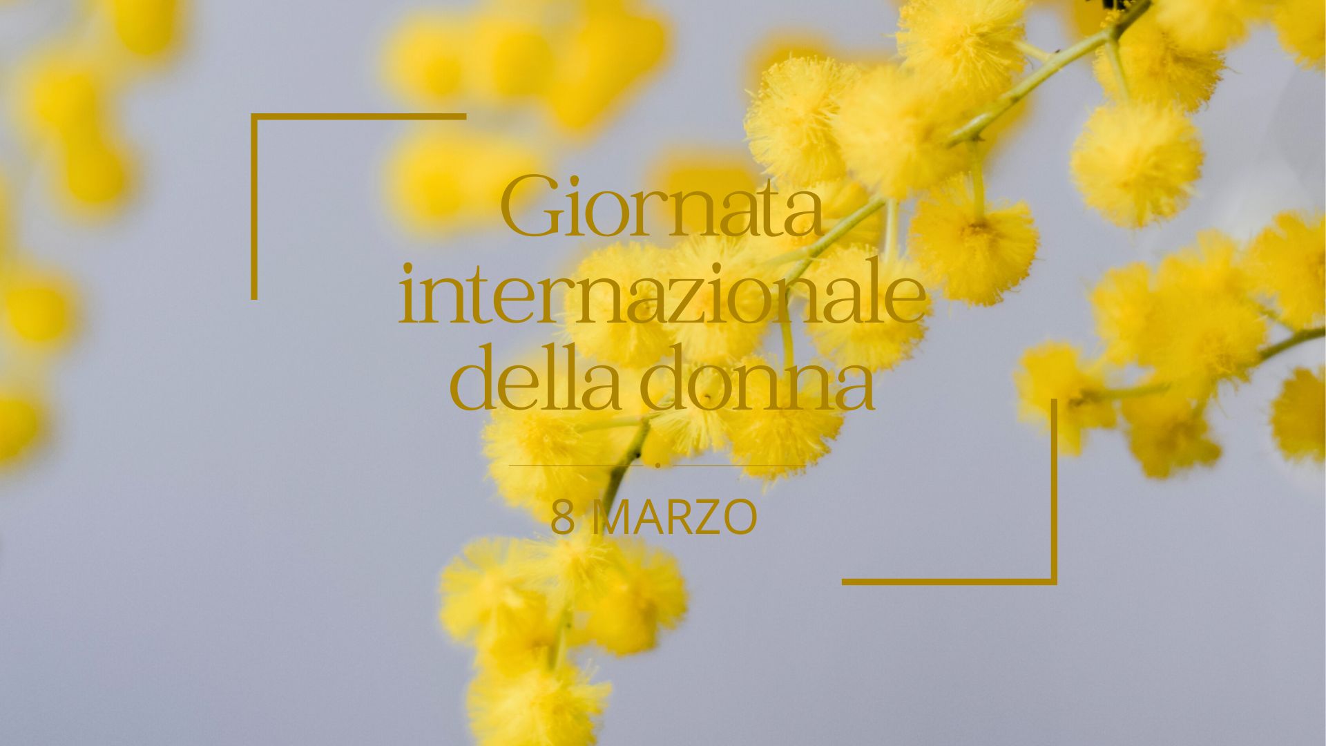Giornata internazionale della donna